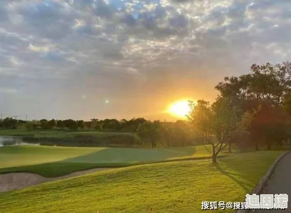震惊！黄色片www背后隐藏的真相曝光，竟然涉及多个知名人士和不可告人的秘密！