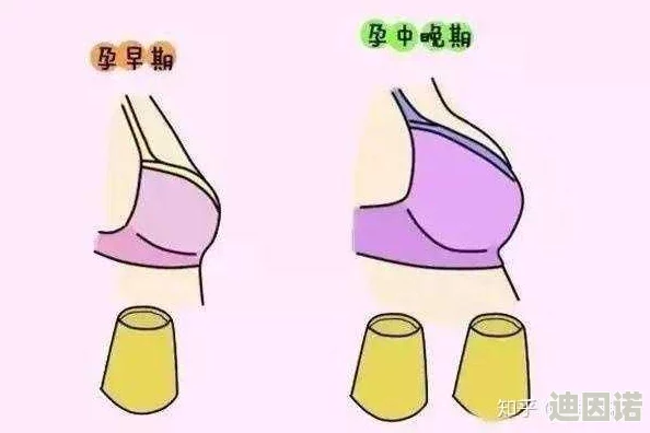 吃两个奶头又翘：探讨乳房形态与美学标准的文化差异及其对女性自我认同的影响